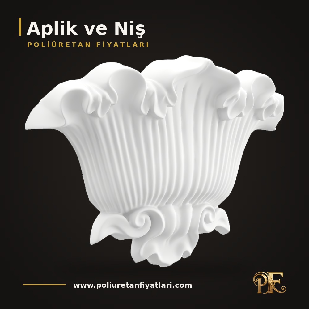 Aplik ve Niş modelleri