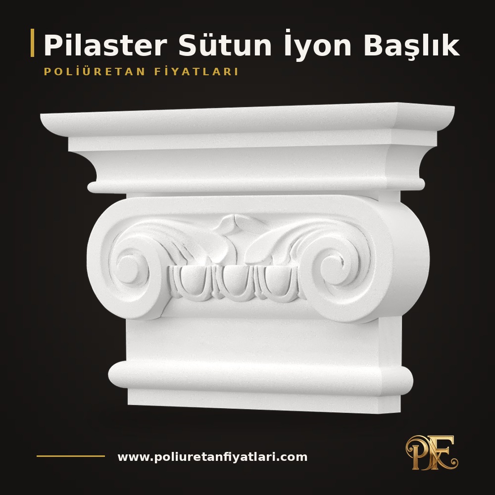 Pilaster Sütun İyon Başlık modelleri
