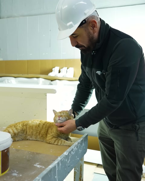 Polure Poliüretan Dekorasyonda Sarsılmaz Kalite ve Hafifliğin Buluşması — 0:06