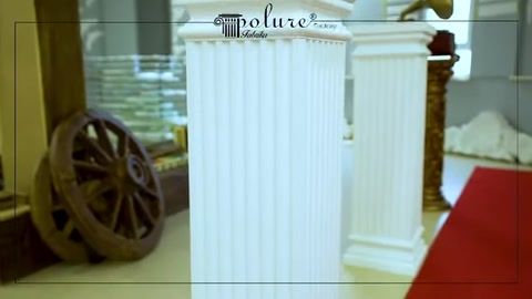 İnce yivli beyaz kısa sütunun gövde yüzeyine yakın çekim