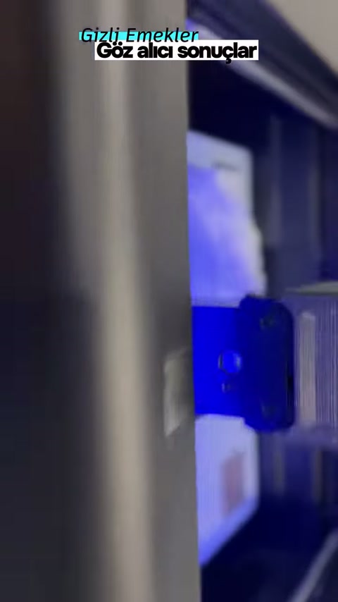 Poliüretan İyon Sütun Başlığı İmalatı ve Dekoratif Tasarım
